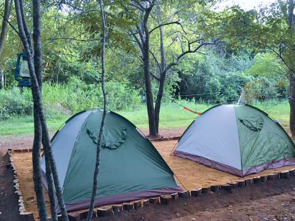 Sky Forest Campsite